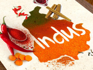 Indus - Project | Chaos Design
