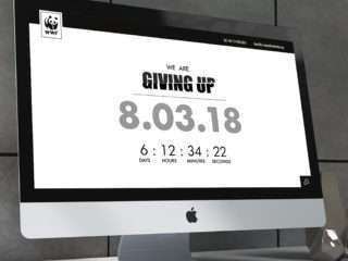 WWF - Project | Chaos Design