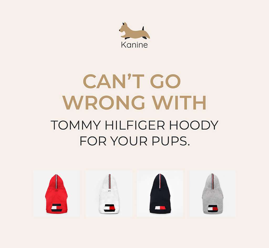 Fashion for pets