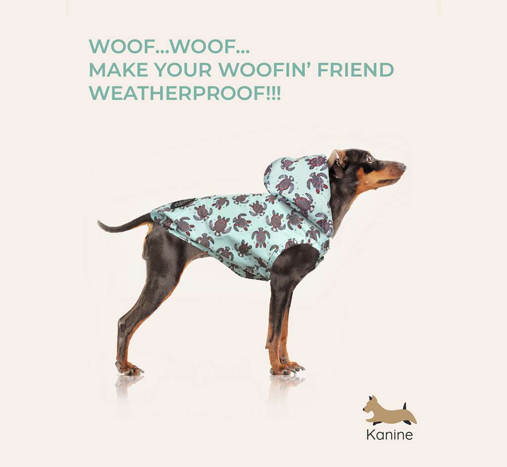 Fashion for pets